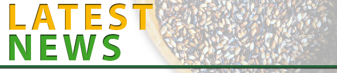 Rice-today-banner-v3