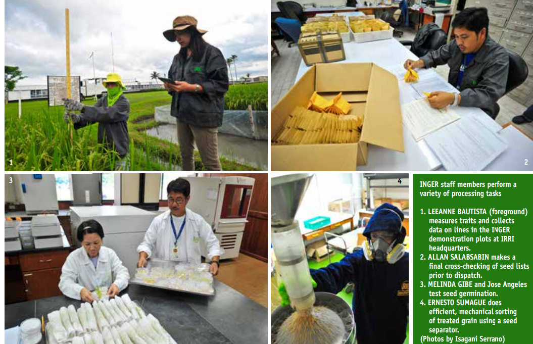 INGER staff members perform a variety of processing tasks