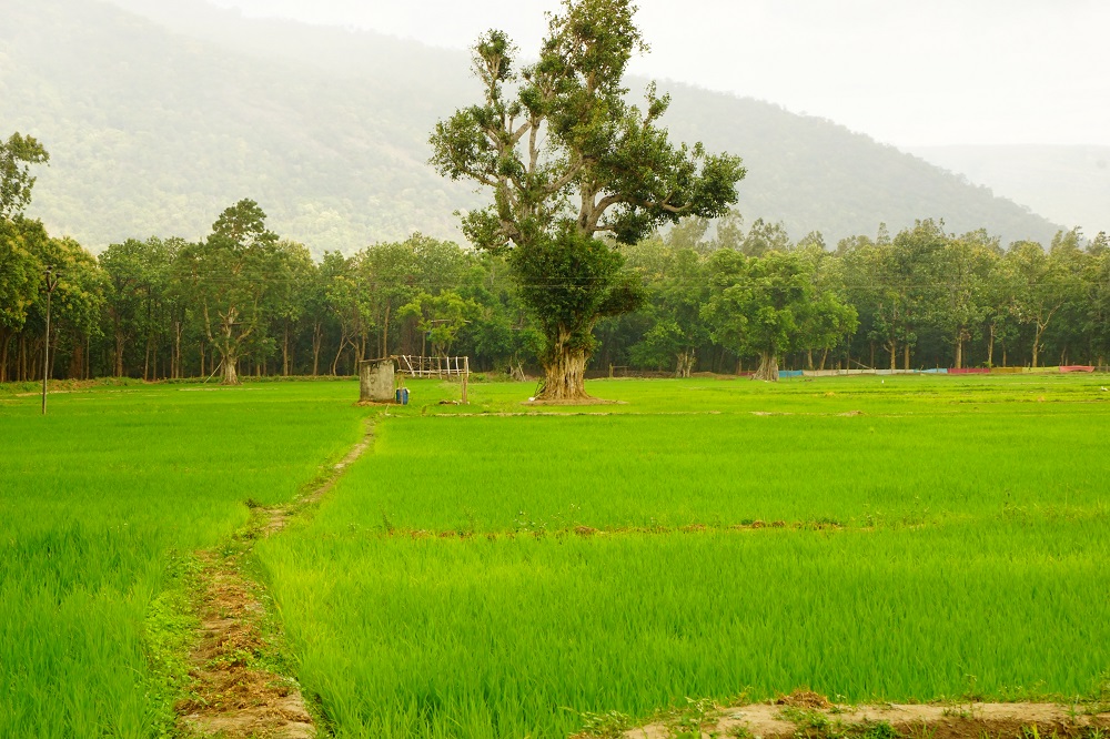 Once on the verge of collapse, the farmers of Sadivayal have turned their fate around and now the village has become a role model in the region. (Photo: Amrita SeRVe©)